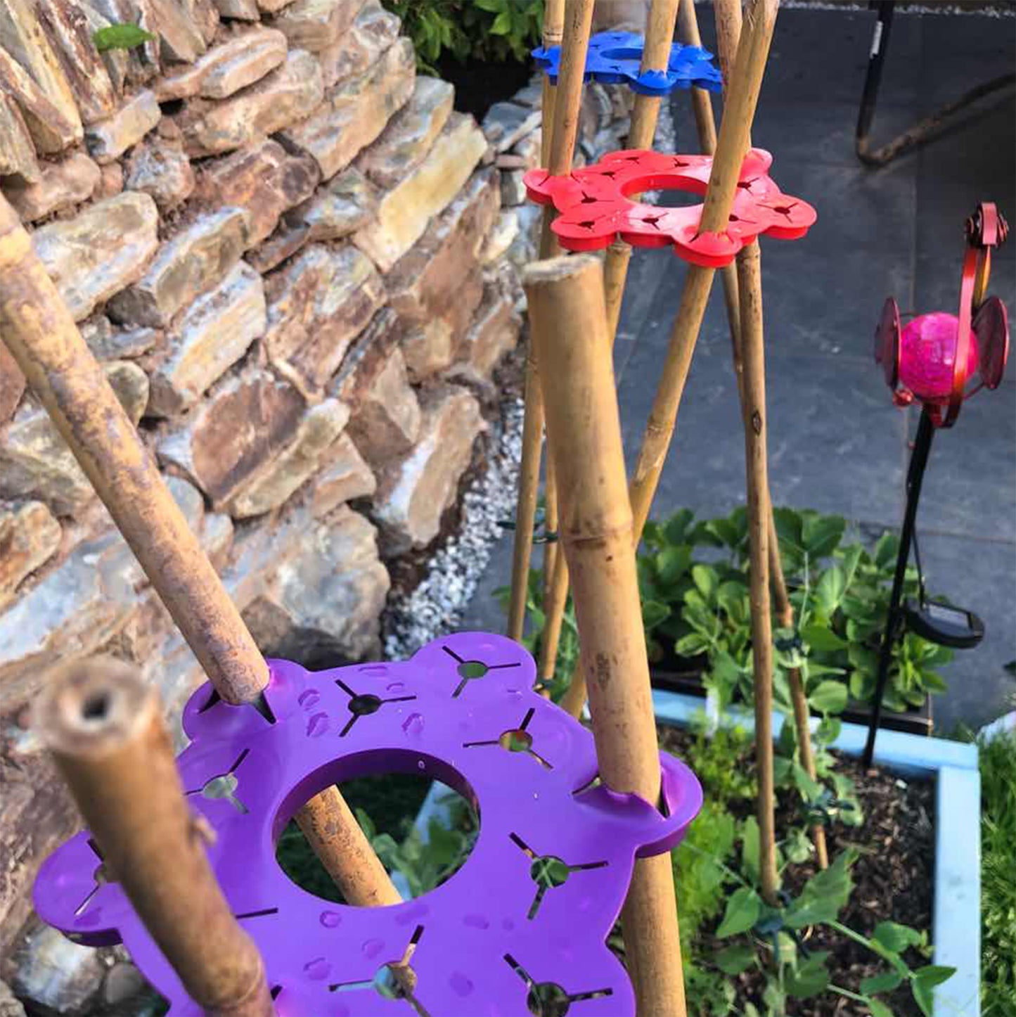 The Red, Blue & Purple Wigwam Cane Supports