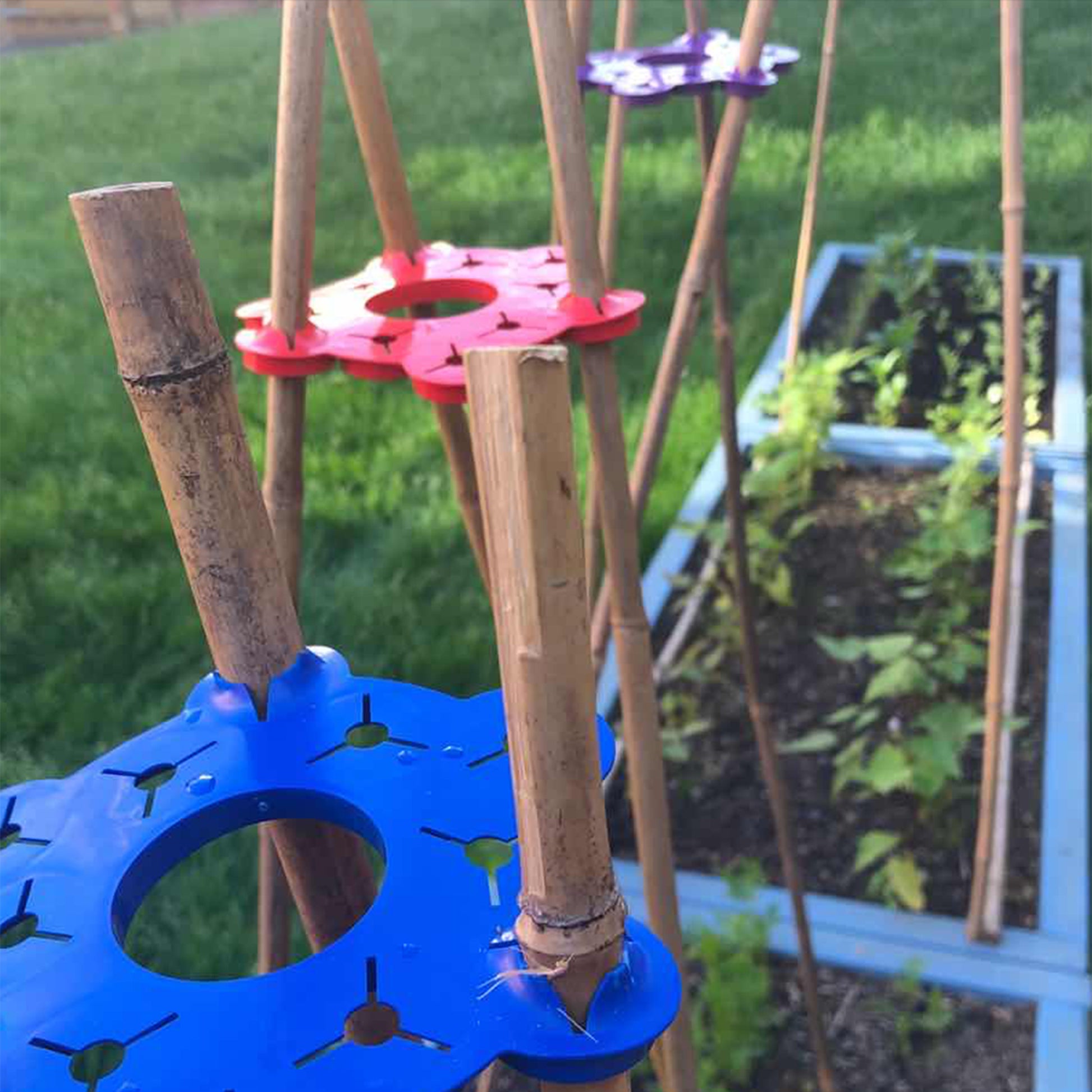 The Red, Blue & Purple Wigwam Bamboo Cane Support Set | WePrep